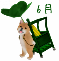 6月のコスプレ。