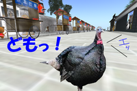 かげでは・・・＠＠