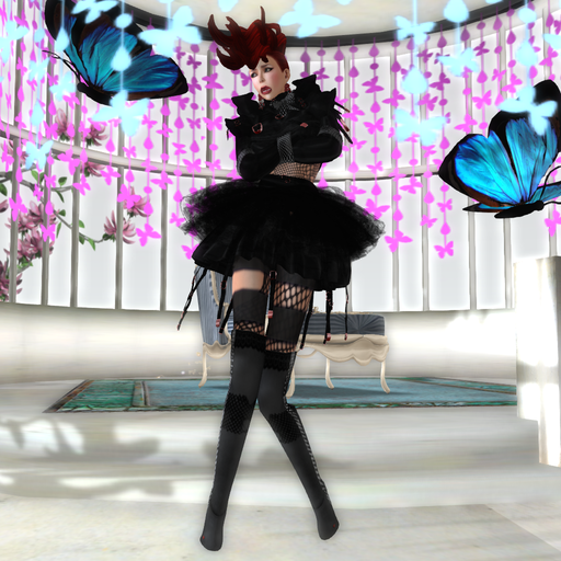 New(Aliza Karu)