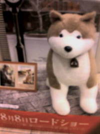 ♥HACHIみたょ♥