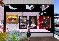 白浜『catteleya』リニューアル激人気です★