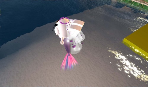 テクスはいかが？