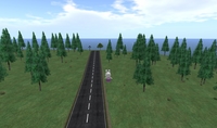 長い道