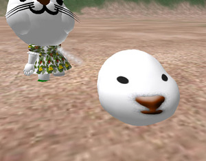 うさぎ