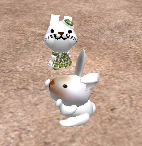 うさぎ