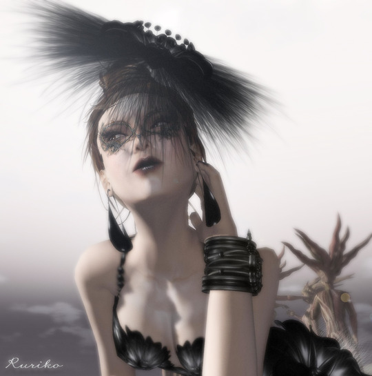 Black Holly