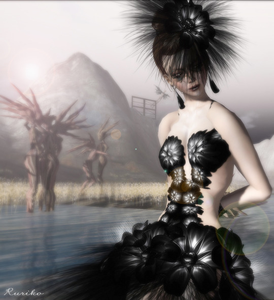 Black Holly