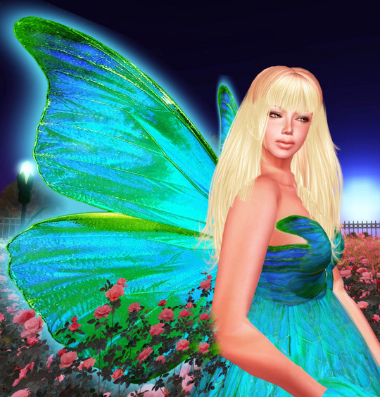 Fairy