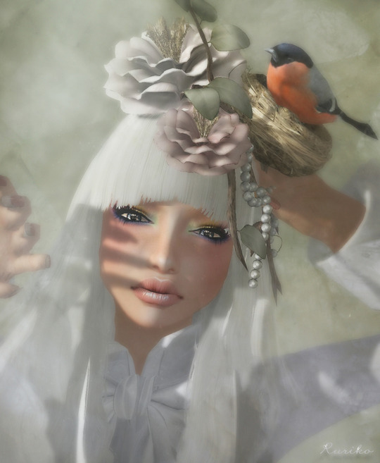 Flower&Bird