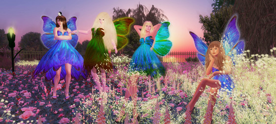 Fairy