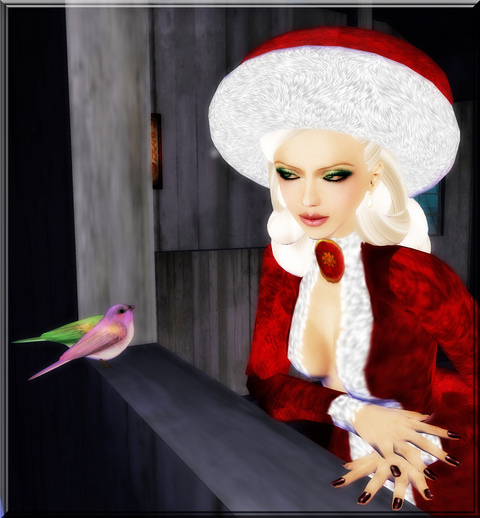 Holly Night