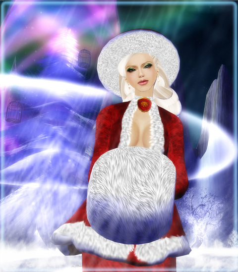 Holly Night