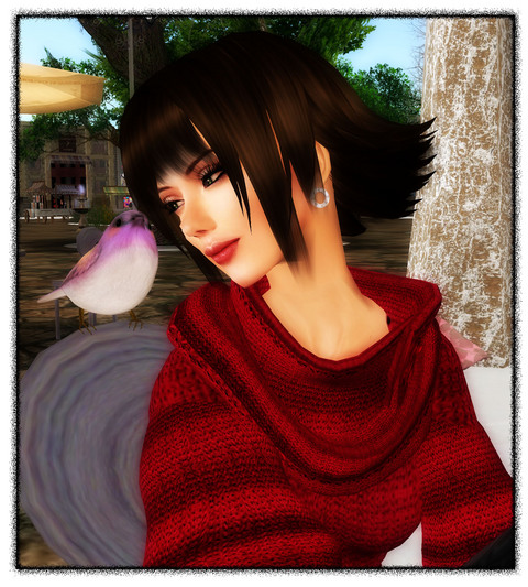 Winter Red