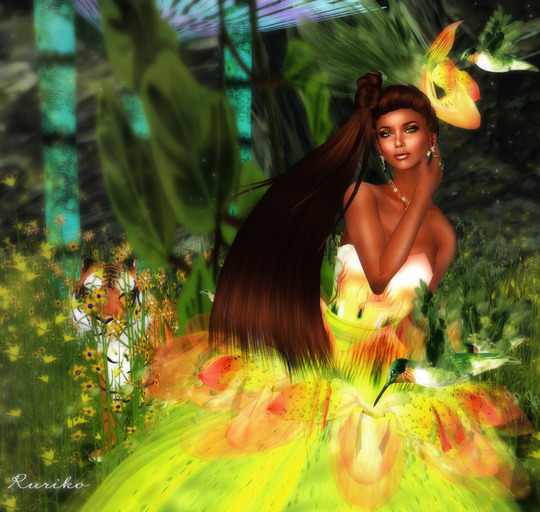 Orchid