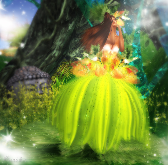 Orchid