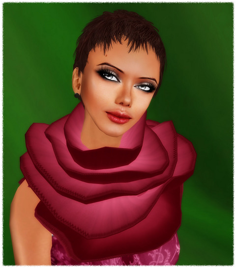 Pink Rose