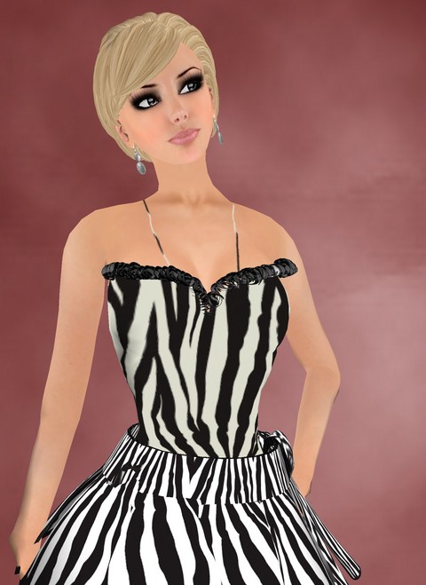 Zebra