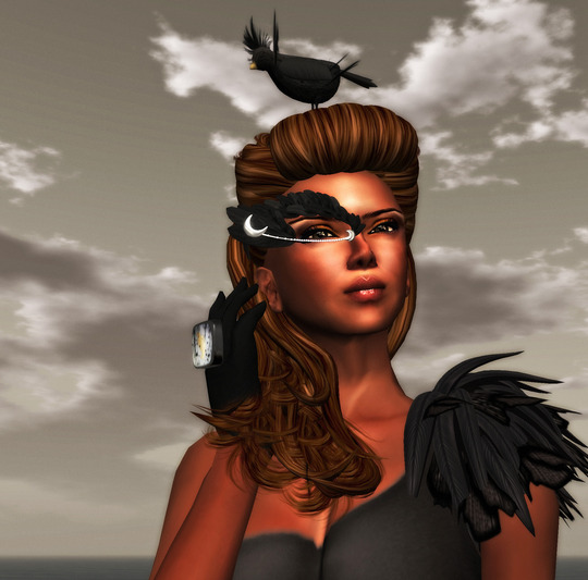 Crow 3