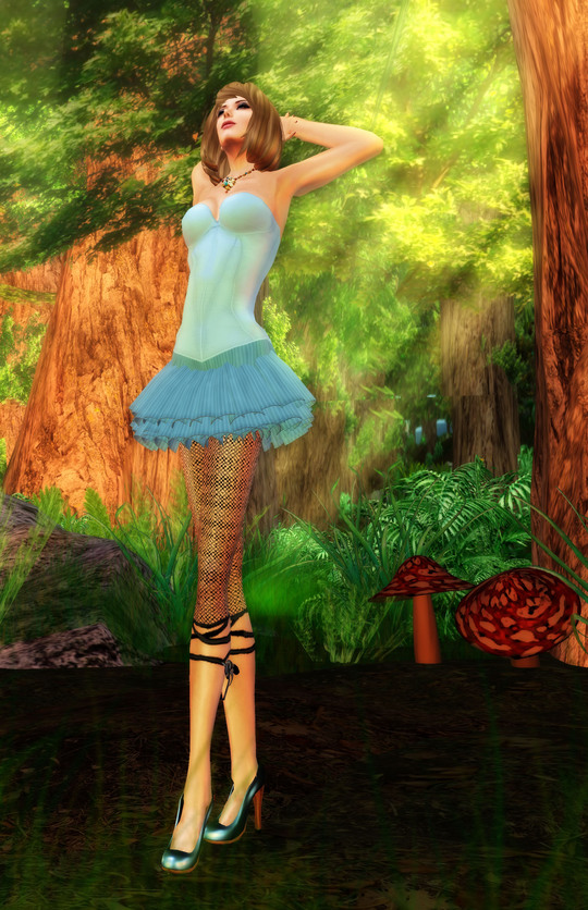 Forest Afternoon