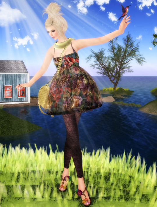 Sunny Day