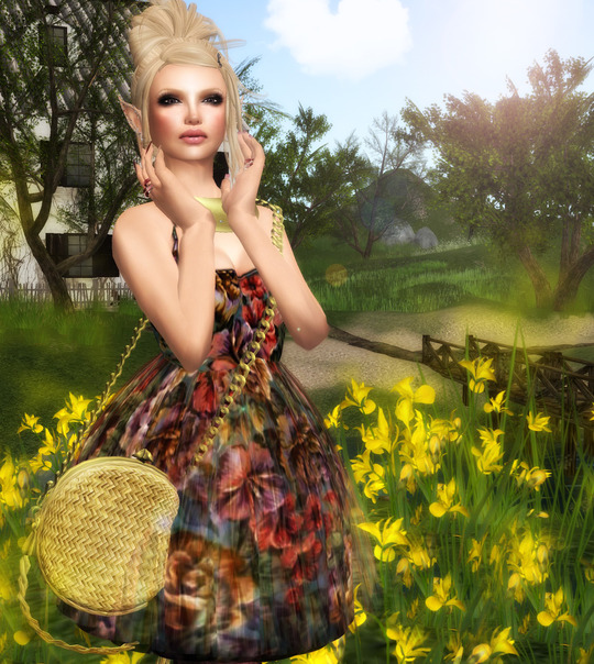 Sunny Day