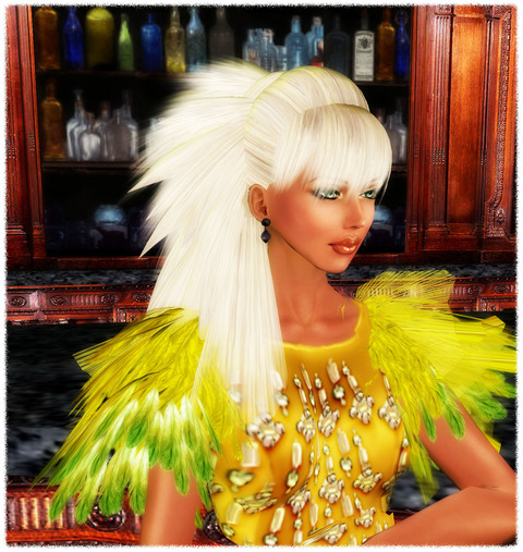 Parakeet