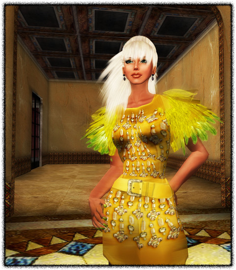 Parakeet