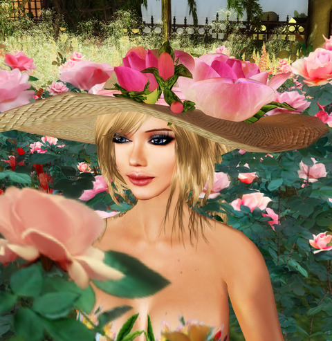 Rose Garden
