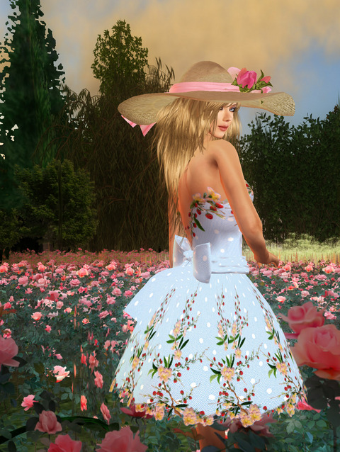 Rose Garden