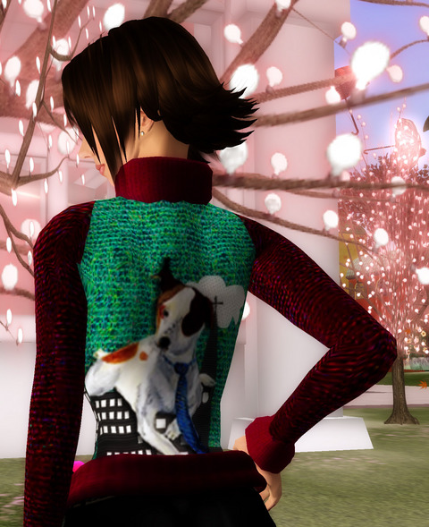 Doggie Knit