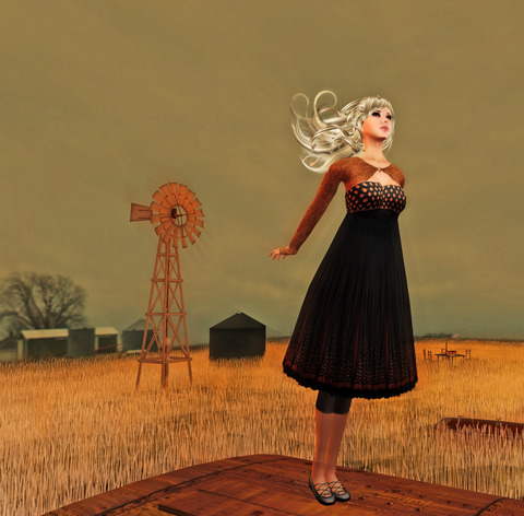 Feel The Winds