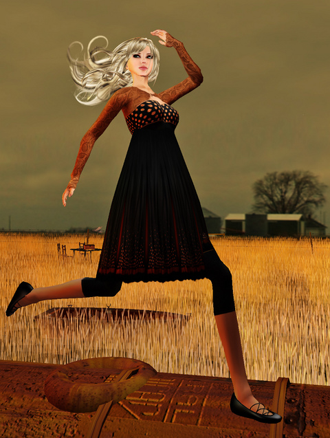 Feel The Winds