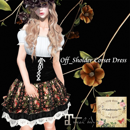 Off_Sholder Corset Dress at TSS