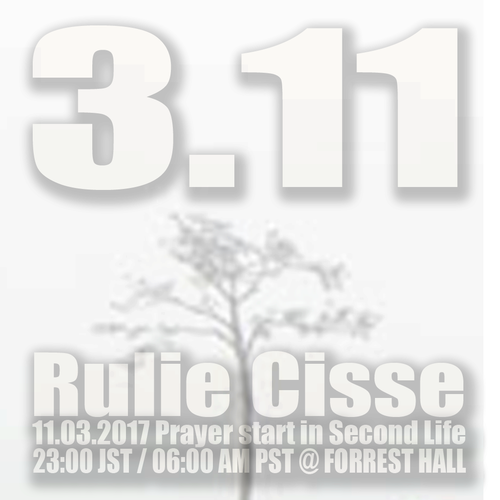 3.11_Rulie