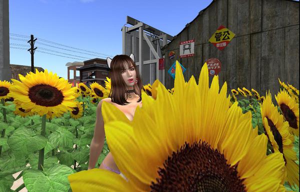 いつも変な記事ですみません><; いつも変な記事ですみません><;