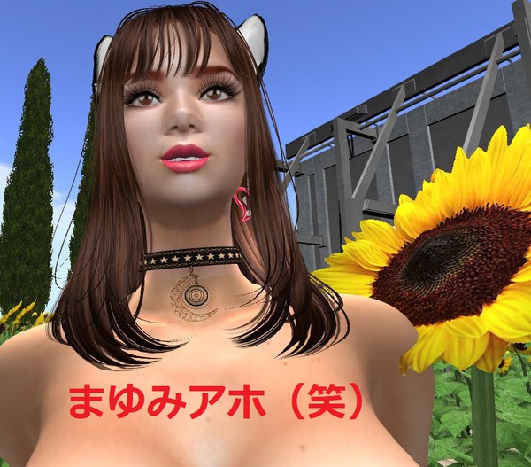 いつも変な記事ですみません><; いつも変な記事ですみません><;
