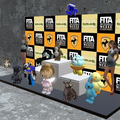 TF1 WGP 2010 Rd.5に出場