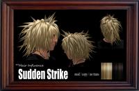 MEN'S HAIR =Sudden Strike=