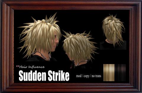 MENS HAIR =Sudden Strike=