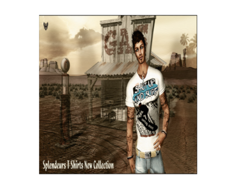 ☞Skaten Surf hunt