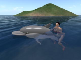 Dolphin boat