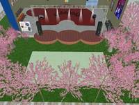 --桜の木の下で--　お花見宴会ライブパーティ