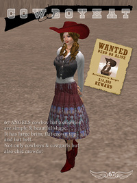 Cowboy Hat #207