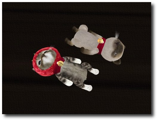 アバ) 子猫