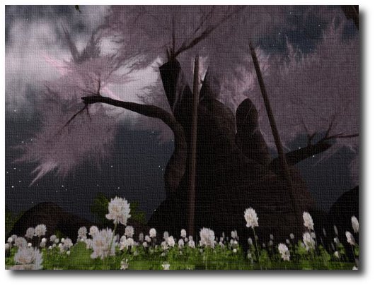 桜のある場所