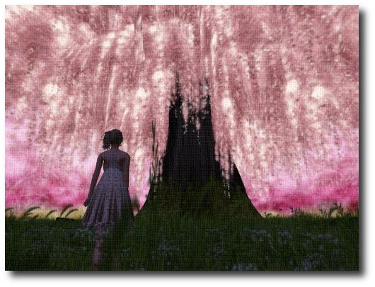 桜のある場所