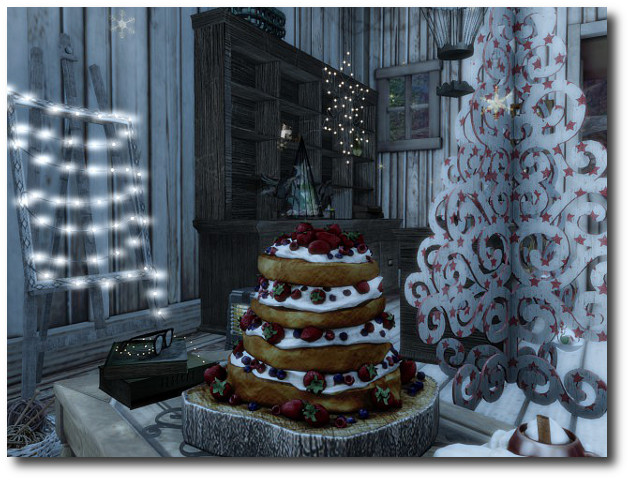 Christmas 2015 (3)