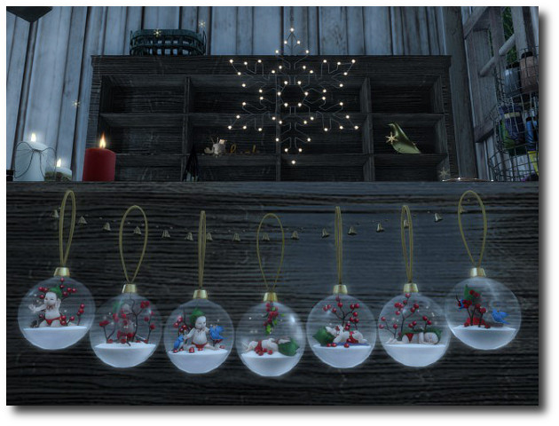 Christmas 2015 (3)