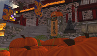 Welcome to NINZOU-RYU!