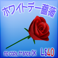 ホワイトデーに薔薇はいかが？